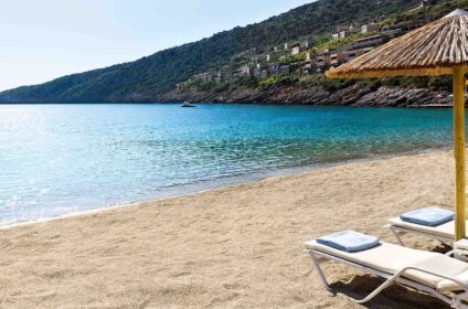 DAIOS COVE