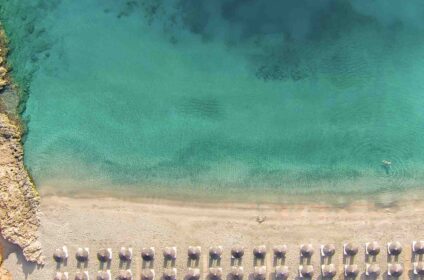 DAIOS COVE