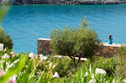 DAIOS COVE