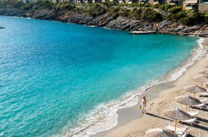 DAIOS COVE