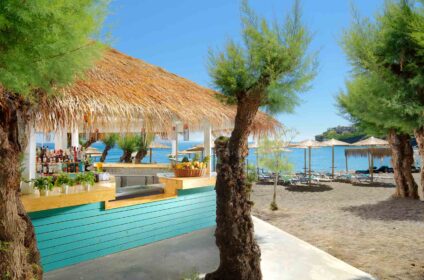 OUT OF THE BLUE RESORT (EXCLUSIVE RETREAT)