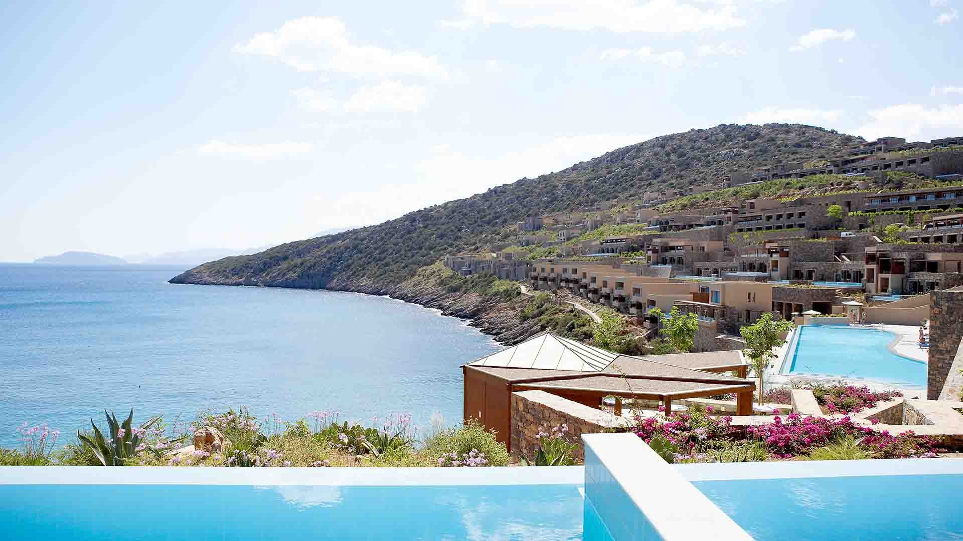 DAIOS COVE