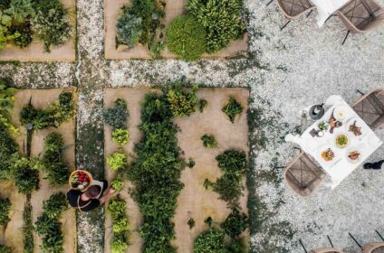 BLUE PALACE, A LUXURY COLLECTION RESORT