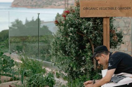 BLUE PALACE, A LUXURY COLLECTION RESORT