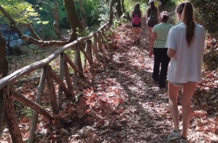 ELIX, MAR-BELLA COLLECTION