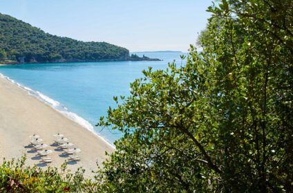 ELIX, MAR-BELLA COLLECTION