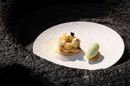 VEDEMA, A LUXURY COLLECTION RESORT