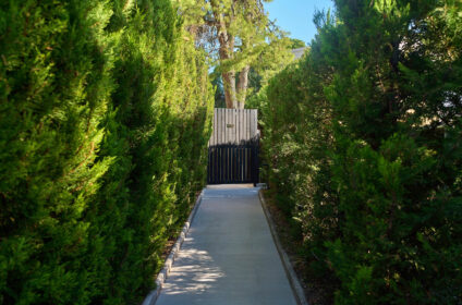 DOMES NORUZ KASSANDRA