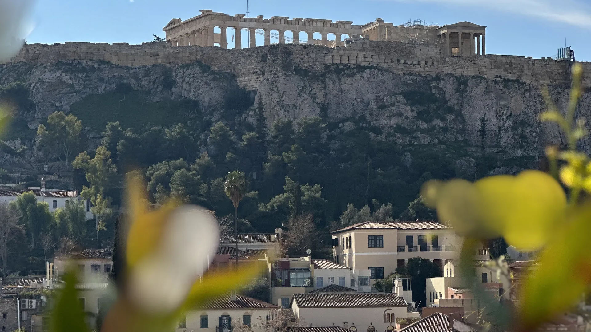 THE DOLLI AT ACROPOLIS A HOTEL TO LIVE