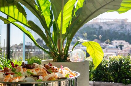 THE DOLLI AT ACROPOLIS A HOTEL TO LIVE